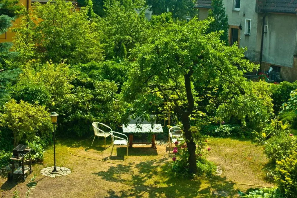 Villa Oliva