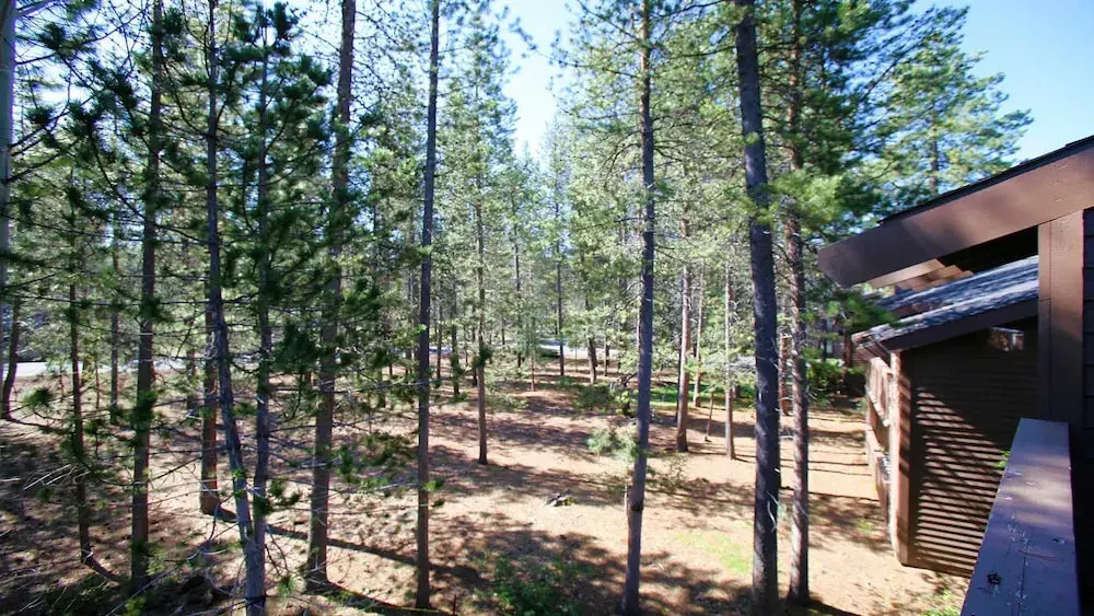 zRidge Condo 15