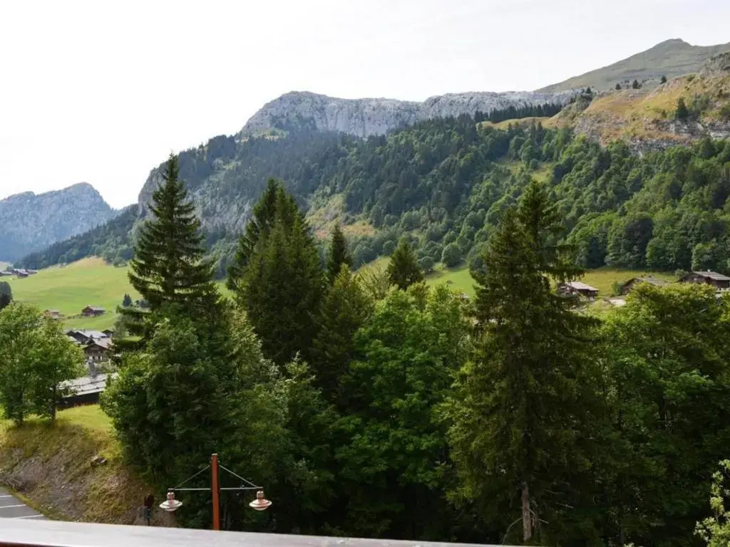 Studio Le Grand-Bornand, 1 pièce, 4 personnes - FR-1-241-20