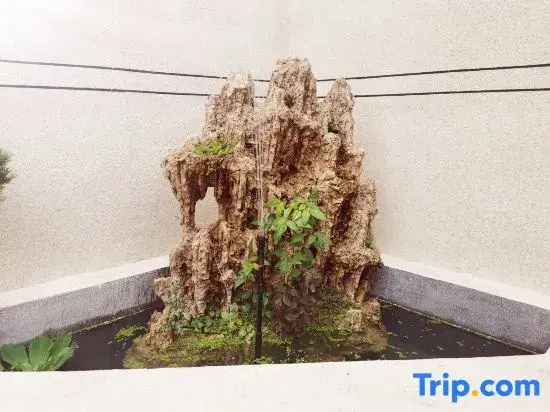 Yunqi Liuyi Homestay (Qufu's Temple and Cemetery of Confucius and Kong Family Mansion)