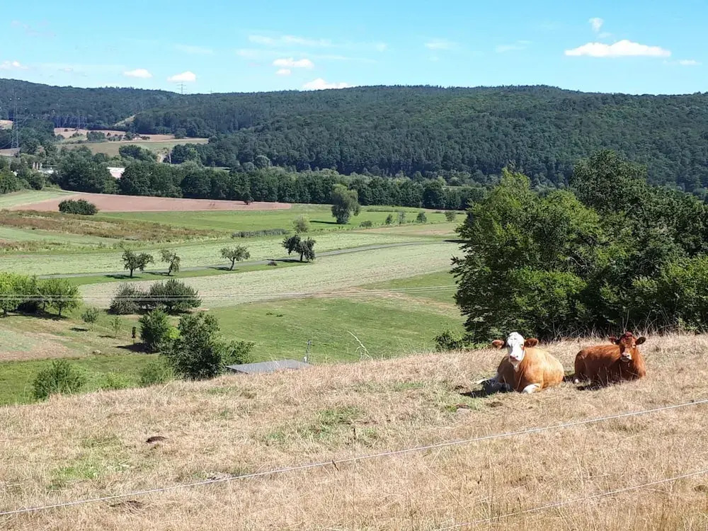 Hotel - Gasthof Spessarttor & Hotel Bergwiesen -hier auf Wunsch Zimmer mit Balkon
