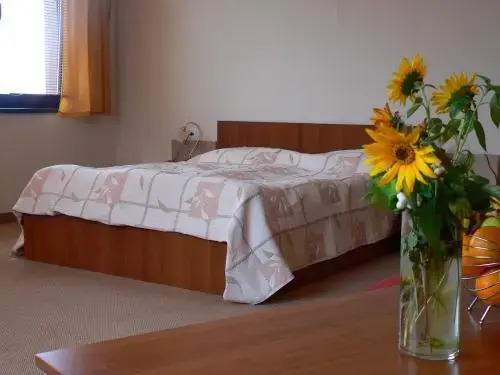 Bistrica Hotel