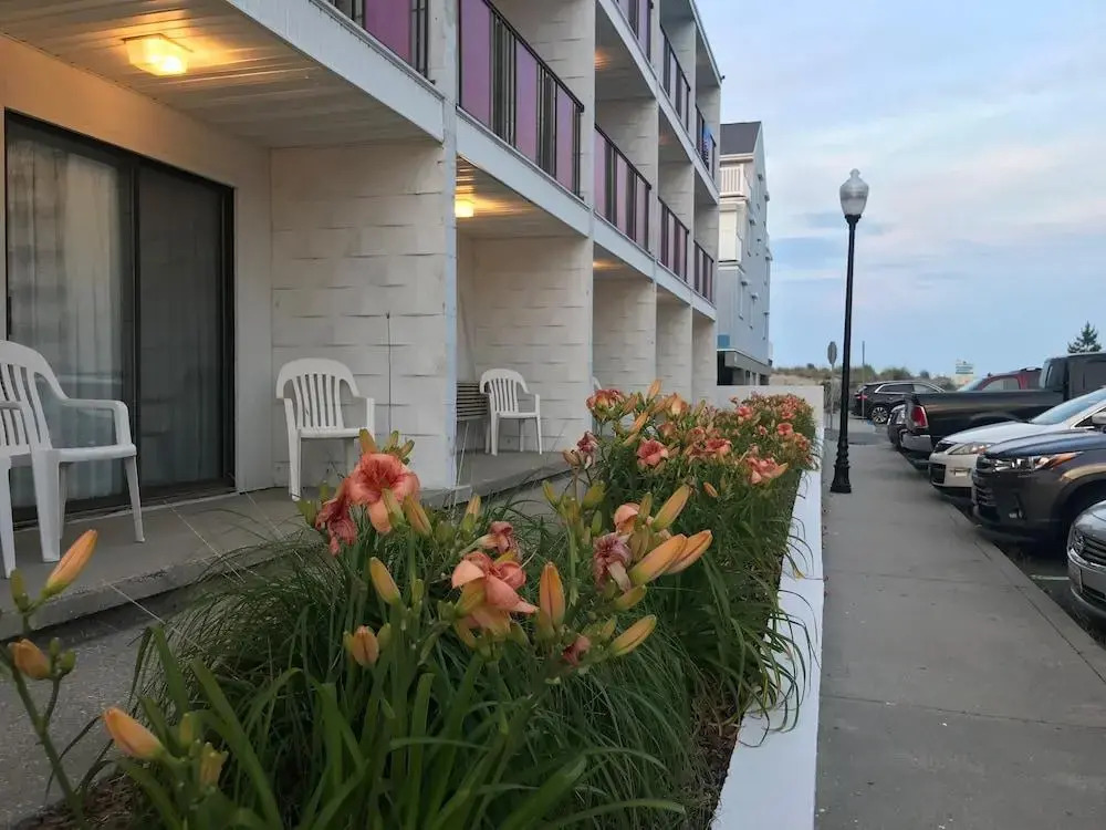 Simple Life Motel