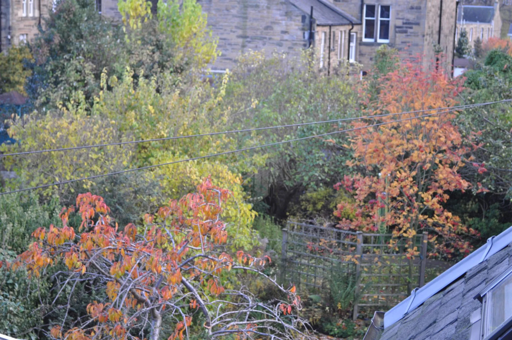 Ashdene House