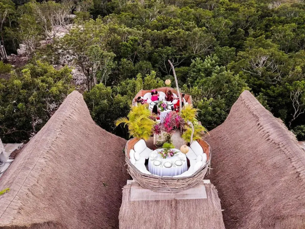 Orchid House Tulum Jungle