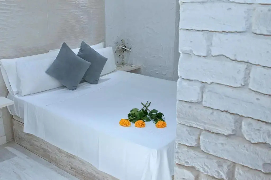 T-Homes Cuenca