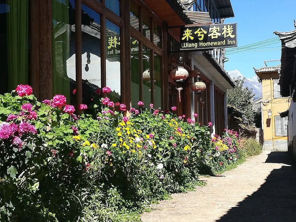 Lijiang Come Back Boutique Inn