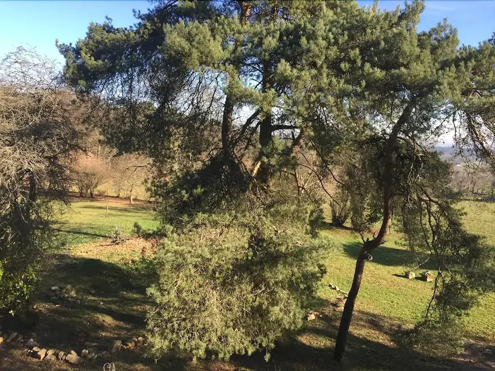 MANOIR DU TERTRE au coeur de la forêt de Brocéliande