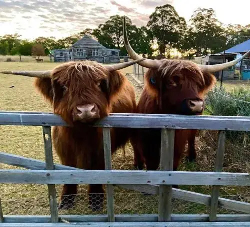 Straw House B and B