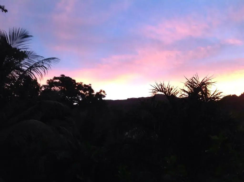 A Peace In Paradise