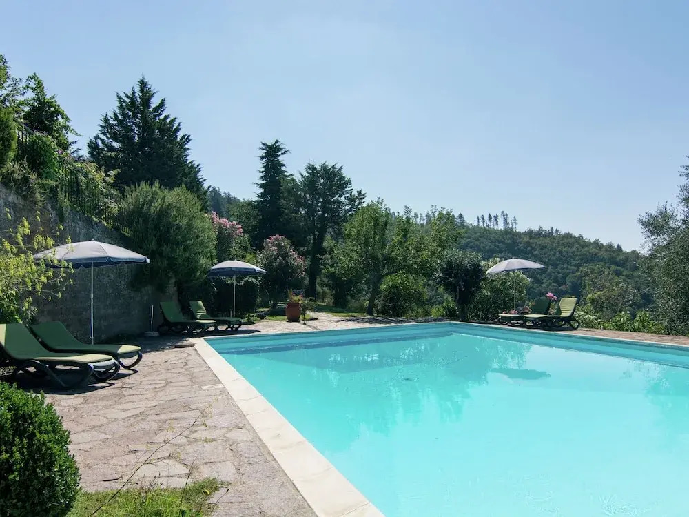 Cosy apartment in the well known Chianti area, with swimming pool and terrace.