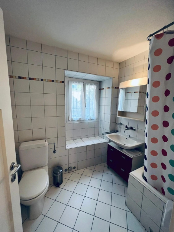 Brissago Lake Apartment