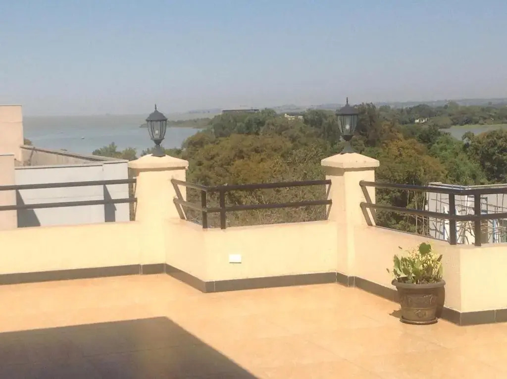 PALM PALACE Best BUDGET HOTEL & TOUR Options s