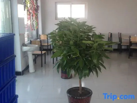 Zhangbei Tianyuan Farm Stay