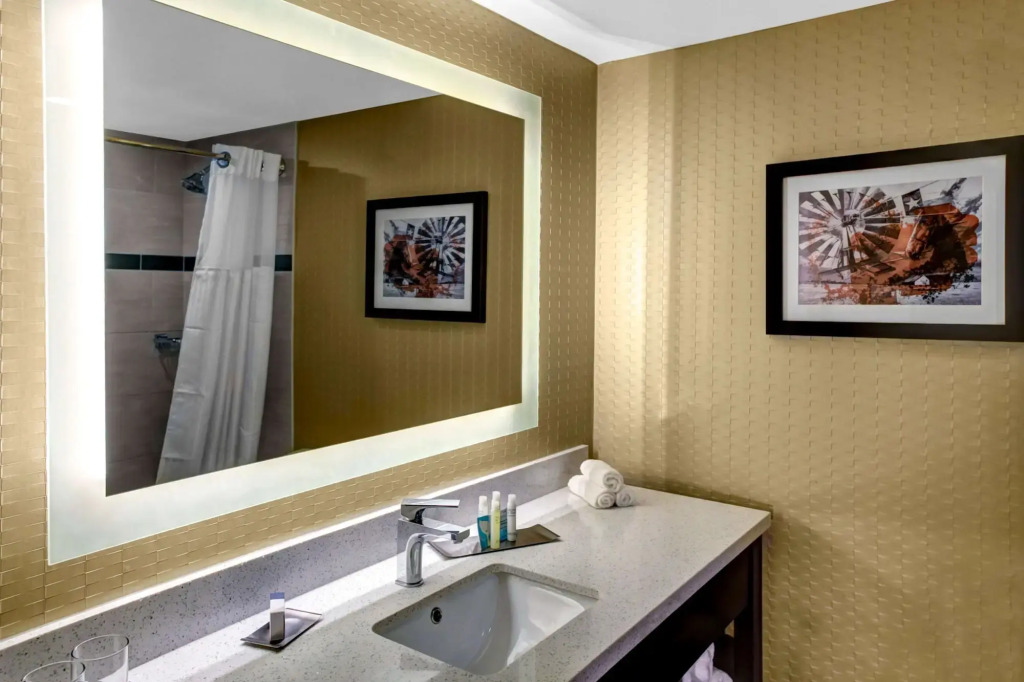 Doubletree by Hilton Arlington DFW South