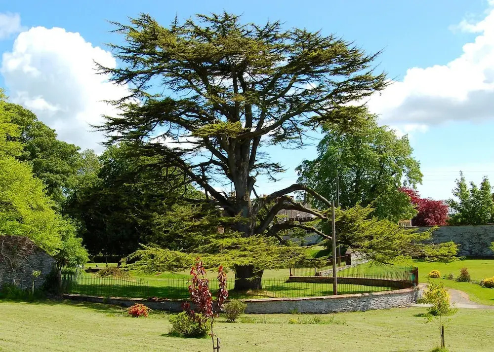 The Urr Valley Country House Hotel