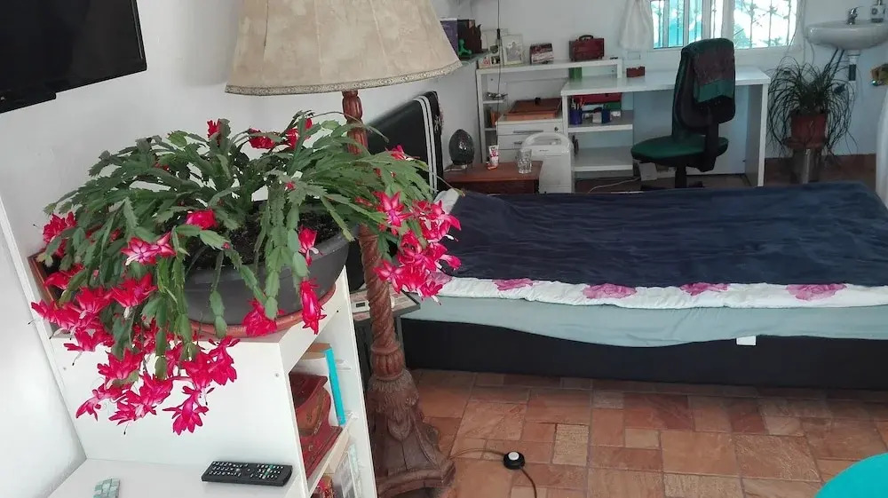 Casa Kimbo