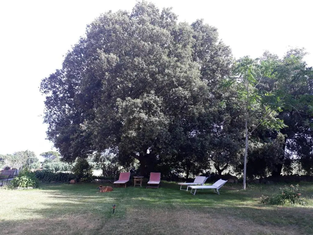 Tenuta Argiano