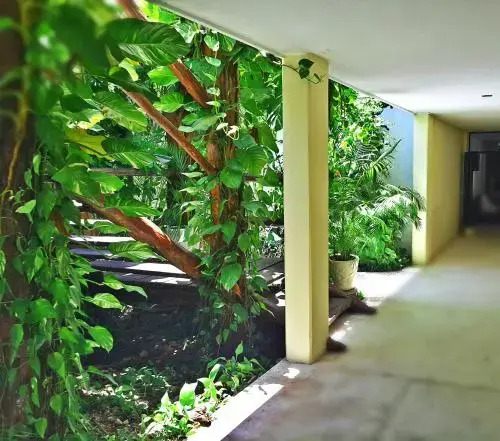 Hostel Meson de Tulum