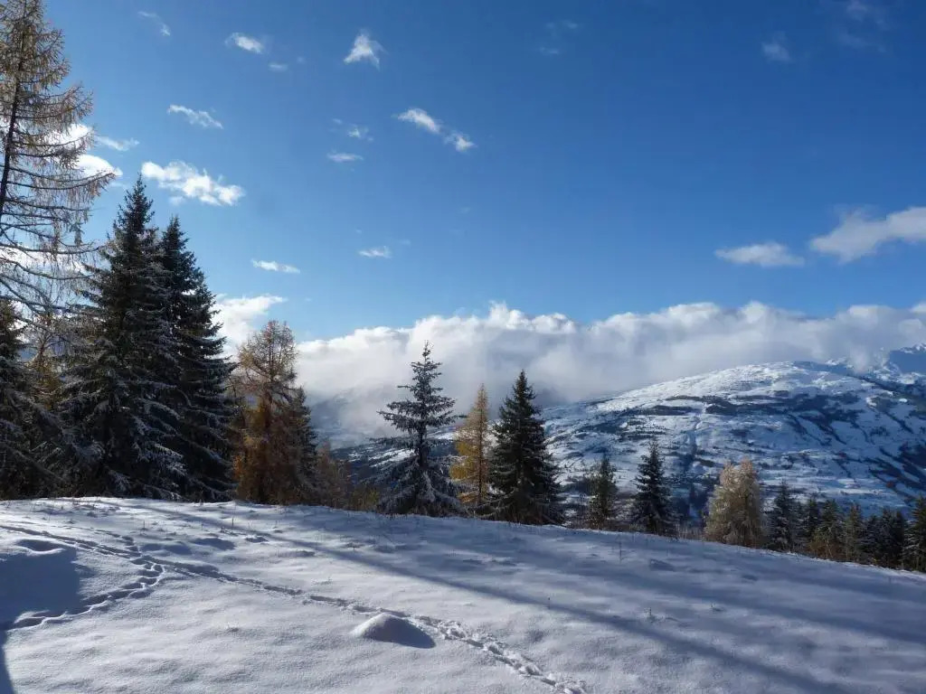Appartement Les Arcs 1800, 2 pièces, 5 personnes - FR-1-411-23