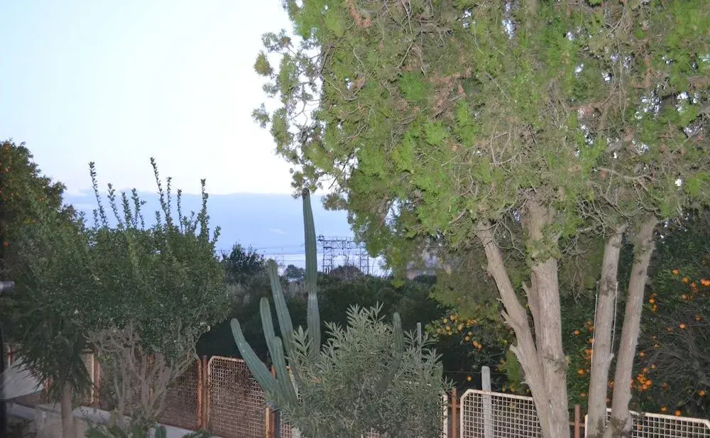 Valentina's House