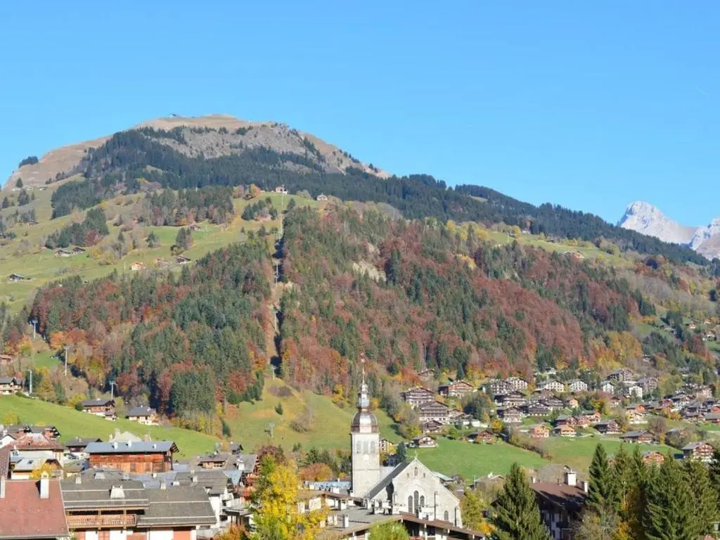 Appartement Le Grand-Bornand, 2 pièces, 5 personnes - FR-1-241-85