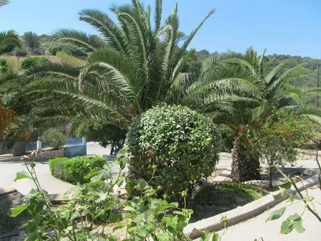 Paradise Studios