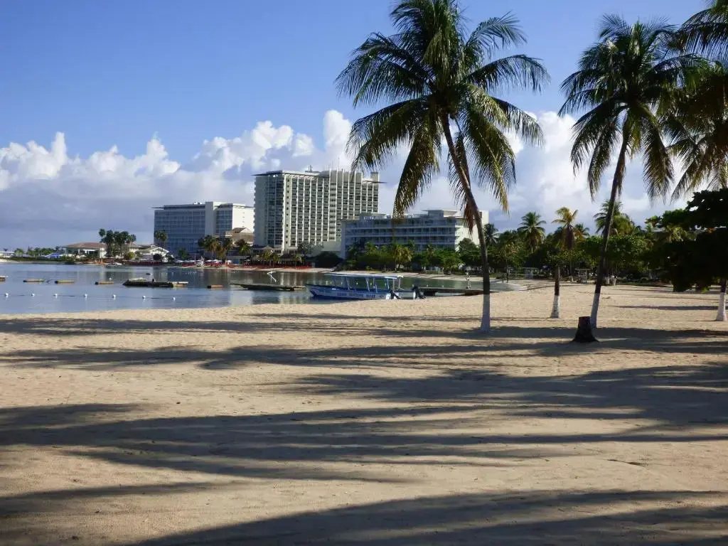 Beach Studio 10