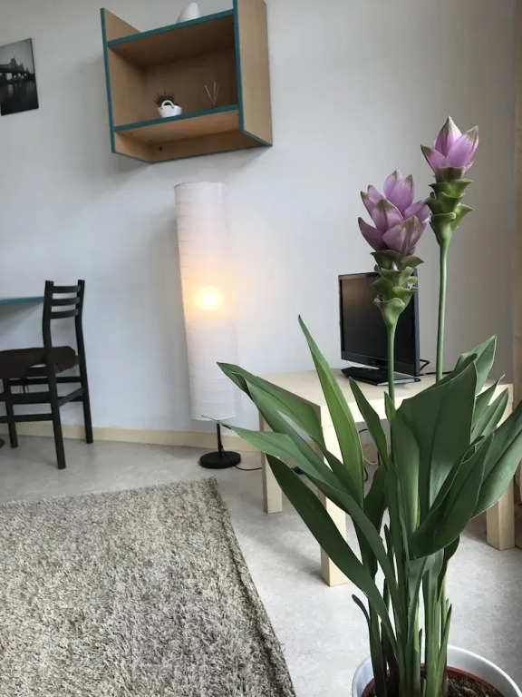 Smart Rent Aparts Les Studiantes
