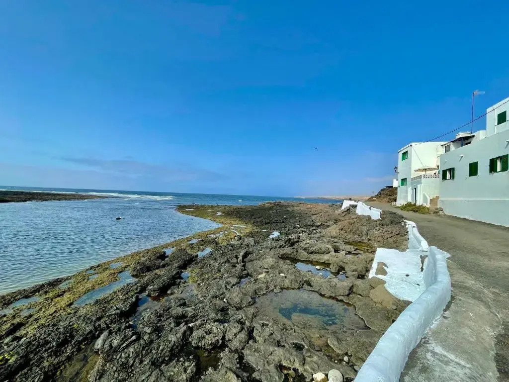 Turtle House