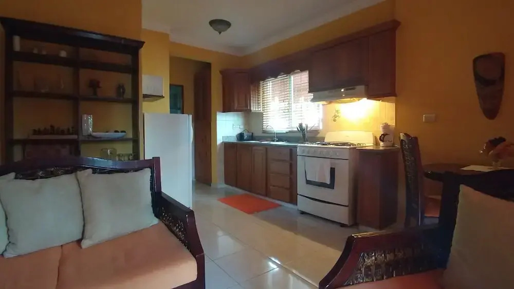 Cozy 1-bedroom-apartment Just 5 Minutes From Zona Colonial
