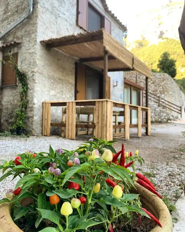 TENUTA BOSCO-Casa Vacanze