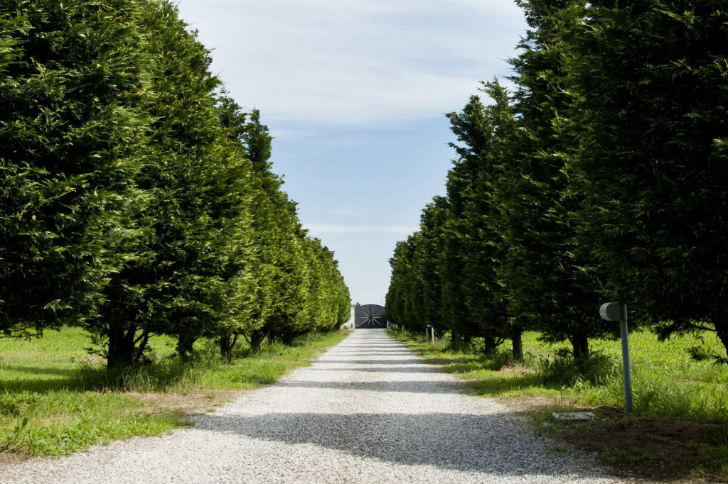 Il Giardino Di Rebecca