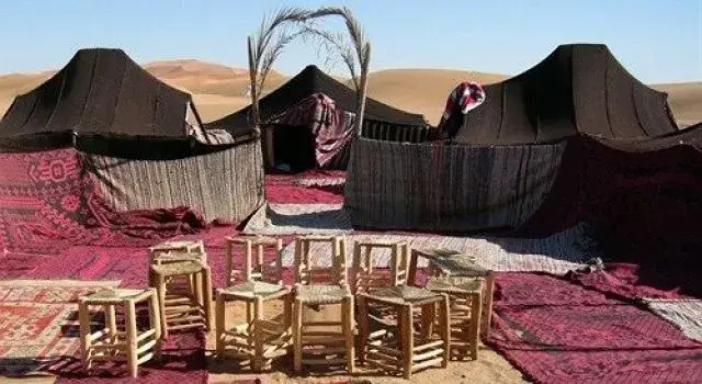 Camel Safari Camp