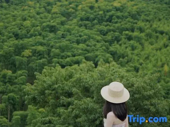 Yunjian ·PUBU Coffee Star Designer Meisu (Yunshang Grassland Tourism Resort Branch)