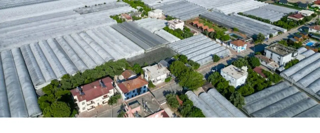 Benlikya Houses