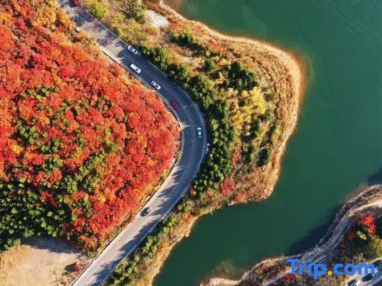 Shanhaijing Homestay (Jinhai Lake Scenic Area)