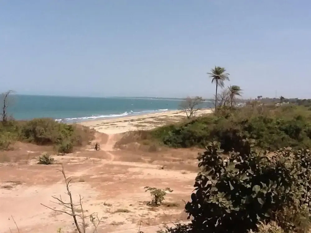 Tanji Bird Reserve Eco-lodge - Adults Only
