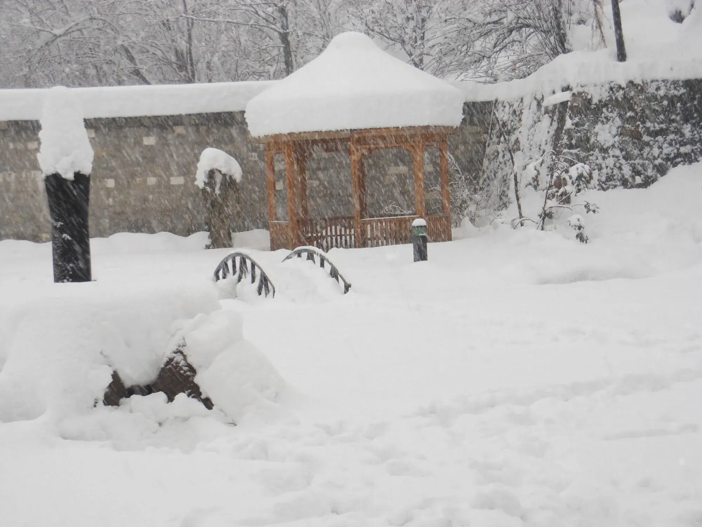 Hotel Rock Manali -A Unit of Akhnoor Hotels Pvt Ltd