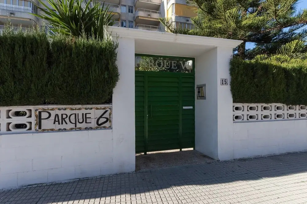 Clorofila