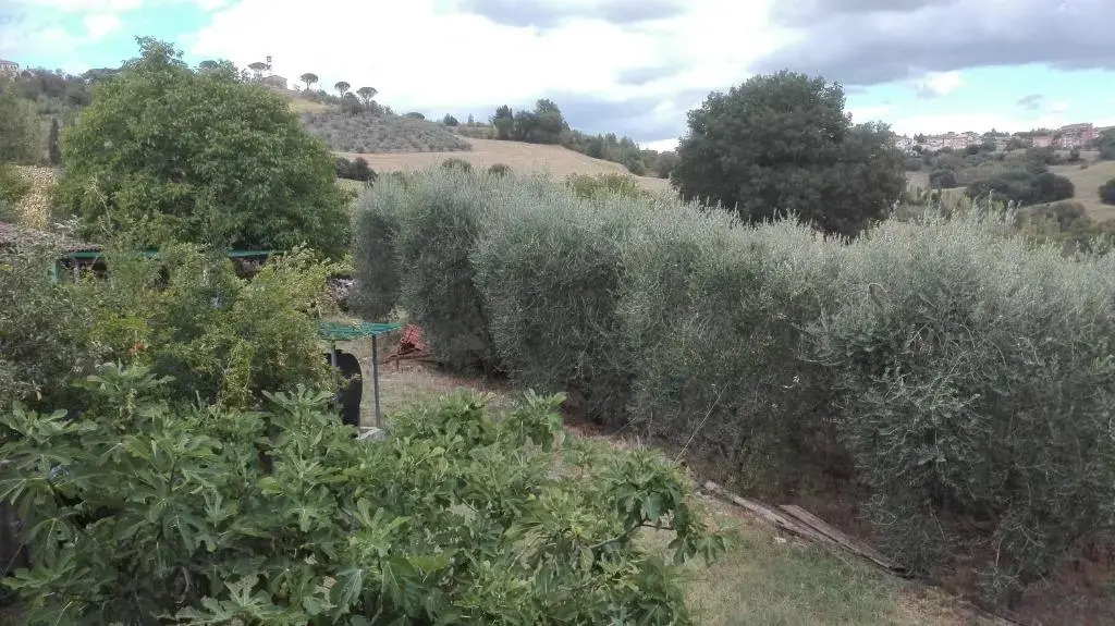 Agriturismo Cerquaglia