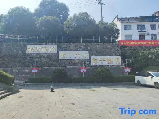 Vienna International Hotel (Liping Conference Site)