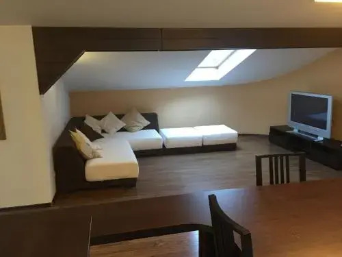 Apartament Miruna