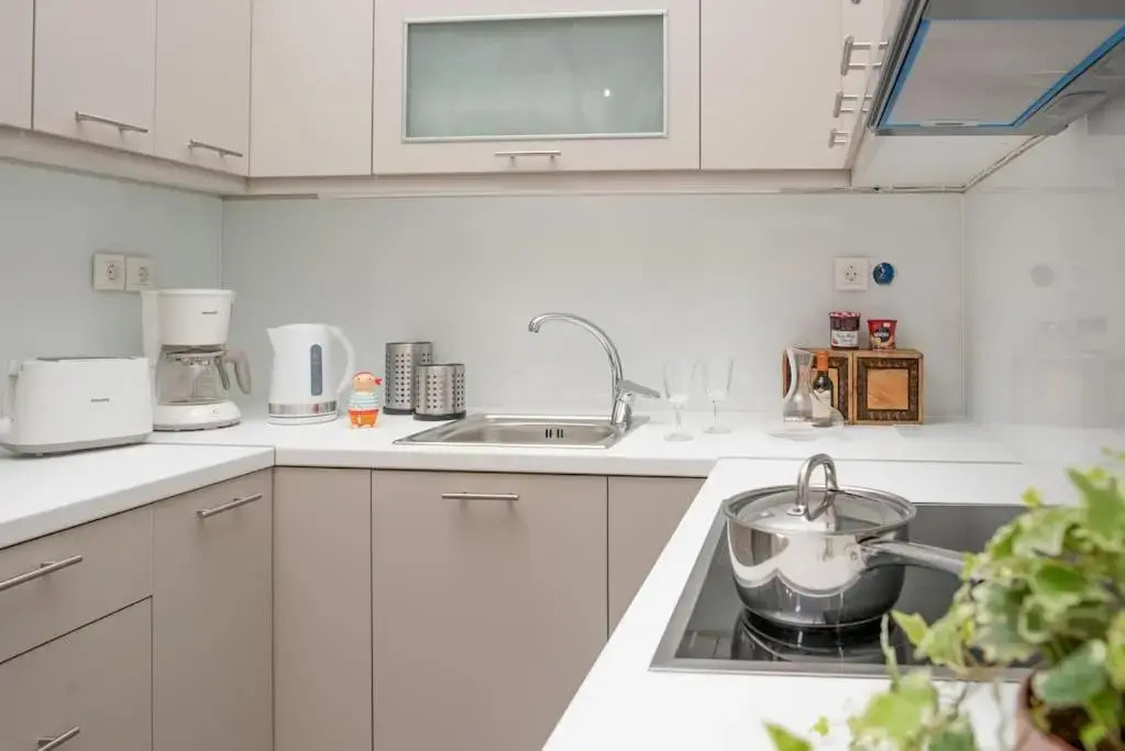Newly Renovated 1730's Venetian Loft (02) !