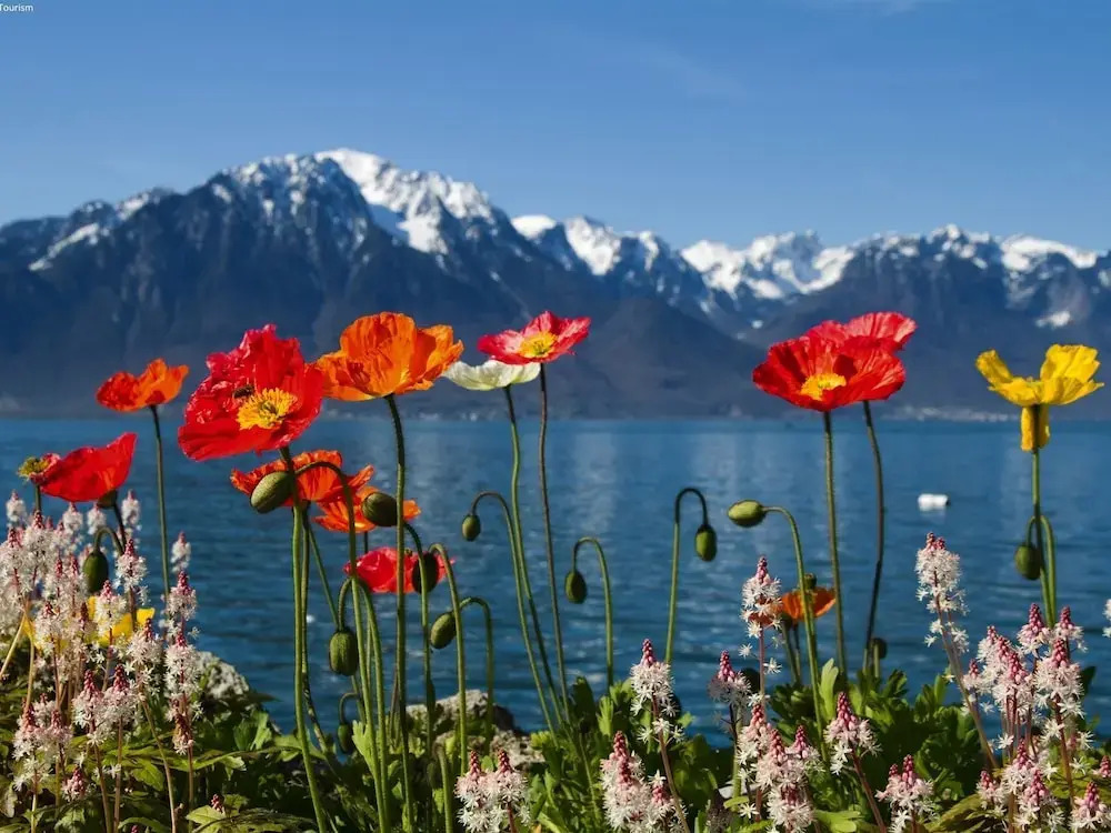 Saas Almagell - With Three and Four Thousand Metre Peaks in the Background