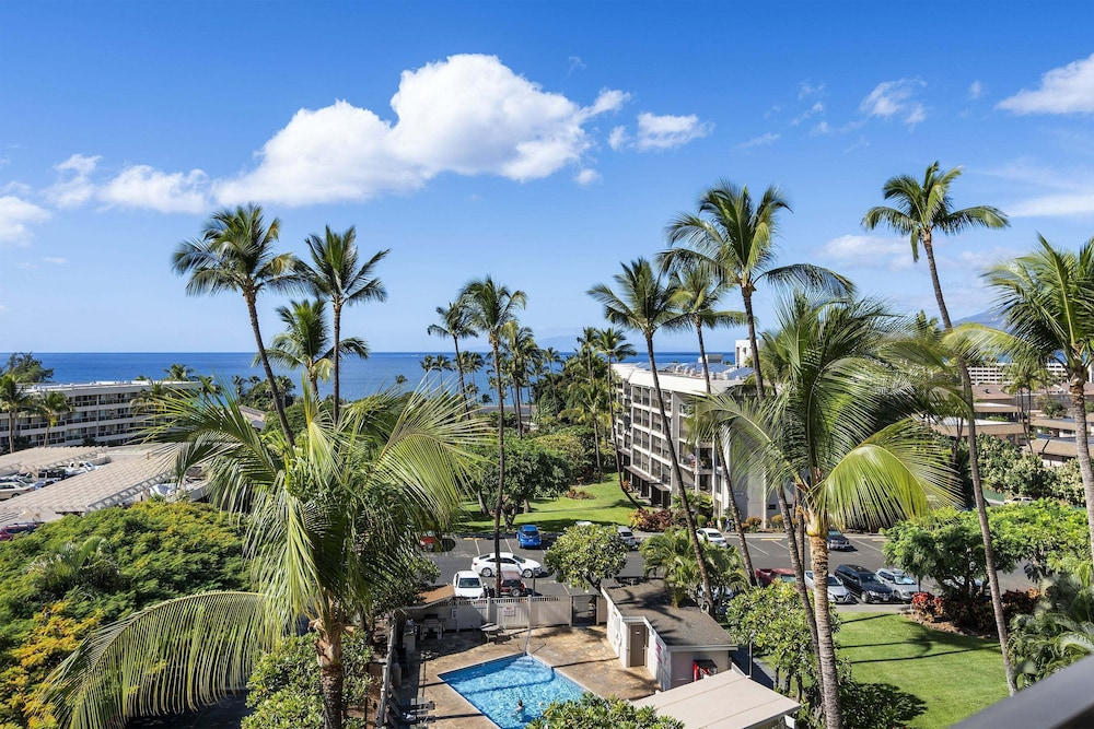 Kihei Akahi D-515: Newly Renovated Ocean View, No Carpet, 3 Zone Split AC, Wi-fi