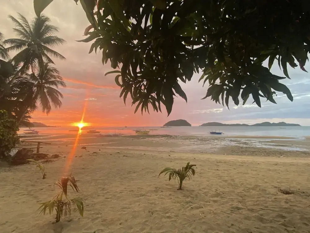 Amila Dive Beach Resort