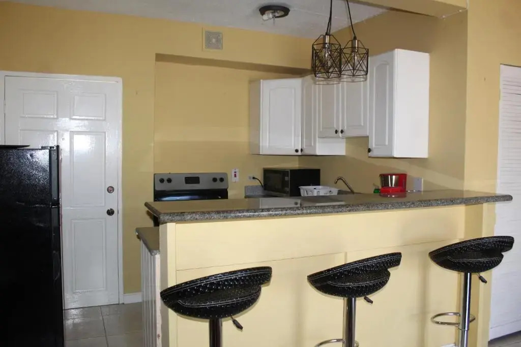 Cozy Deluxe 2BR Condo New Kingston