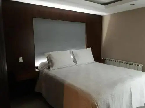 Aparts Calafate Suites