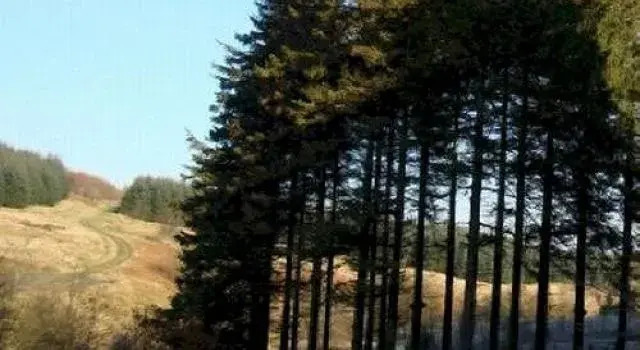 The Liddesdale